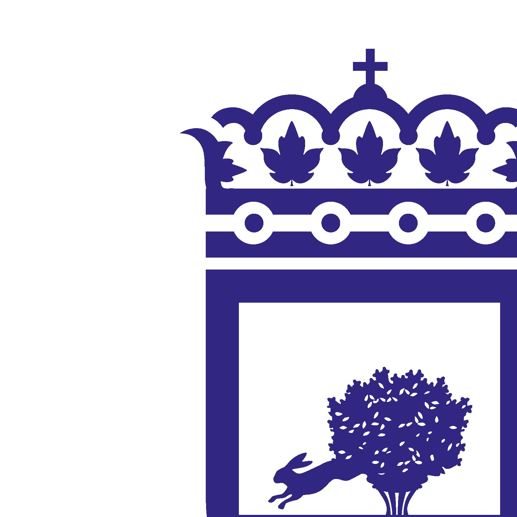 AYUNTAMIENTO TOMELLOSO REGIONAL