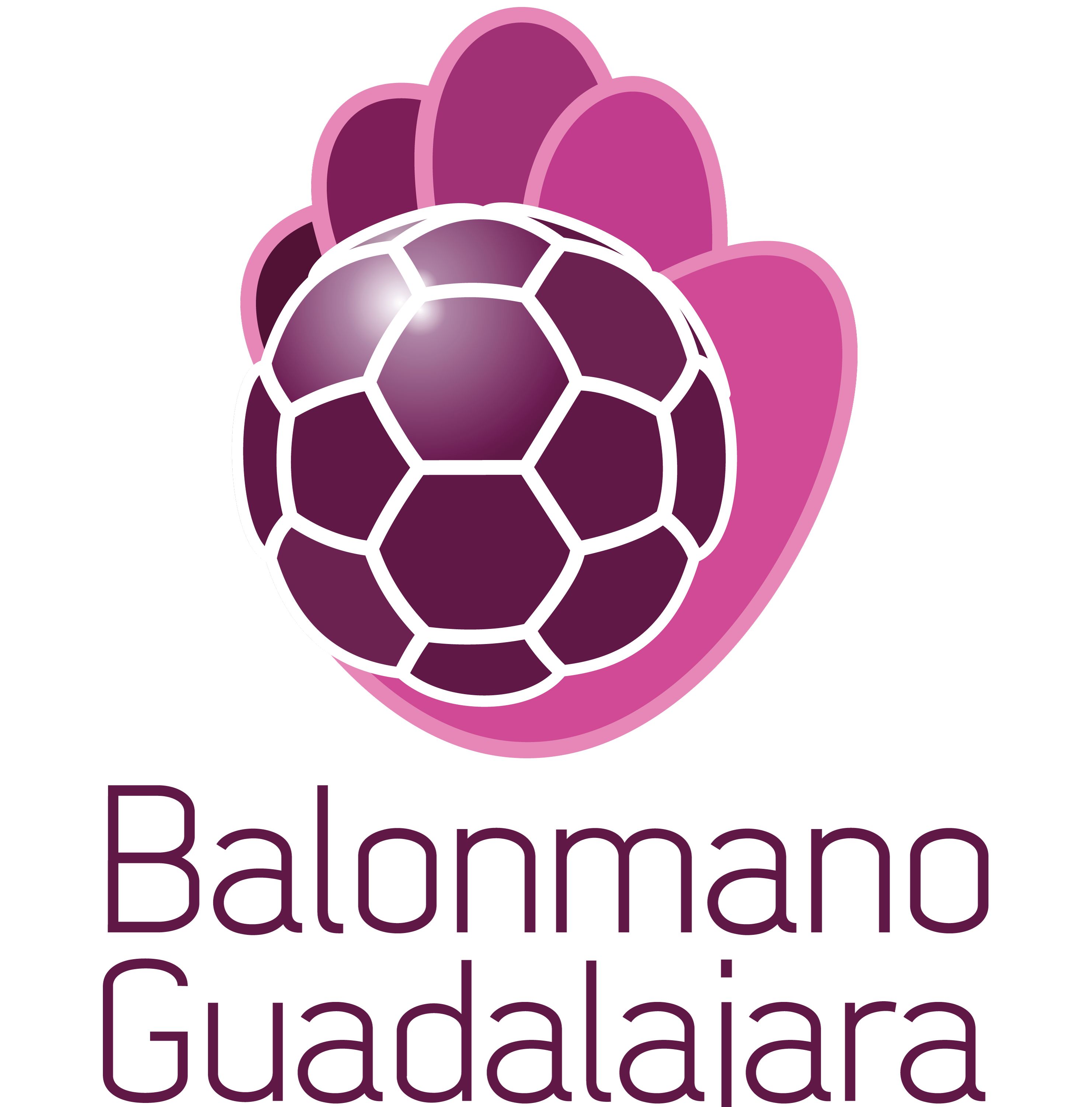 BM GUADALAJARA